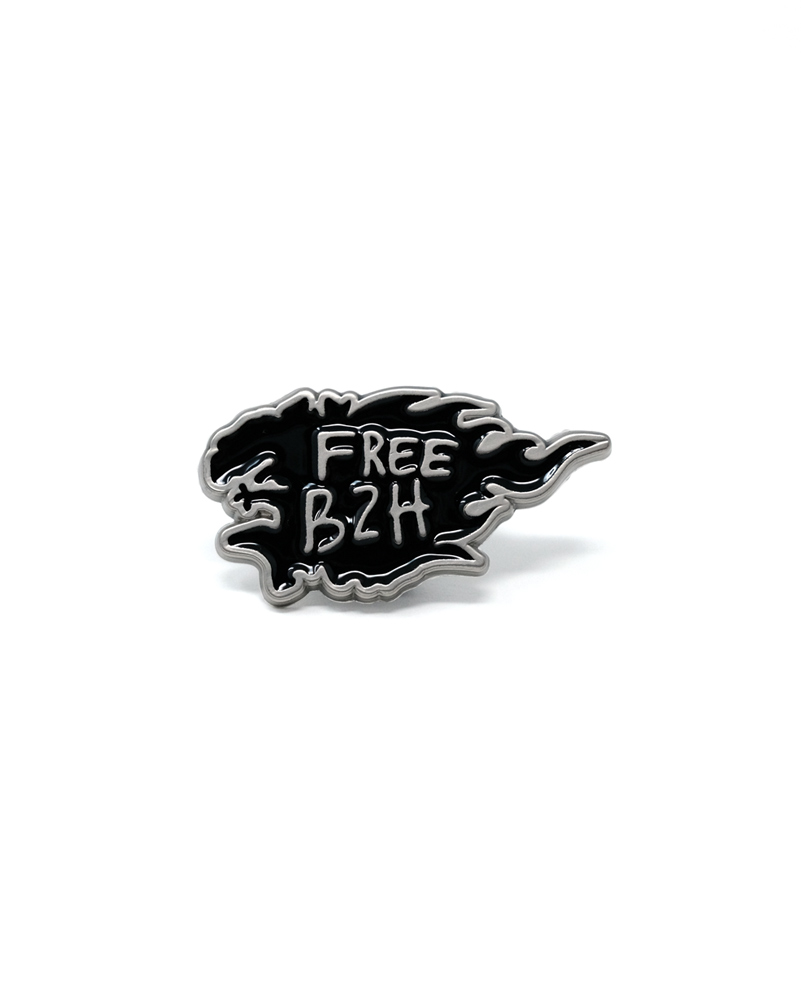 FREE BZH pin's ● BAM